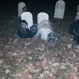 Haunted Forest Saginaw photo