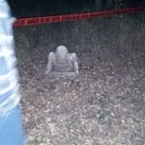 Haunted Forest Saginaw photo