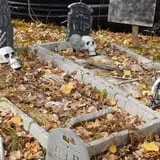 Haunted Forest Saginaw photo