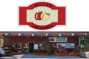 Miller Orchards
