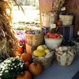 Kristy's Barn photo