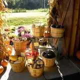 Kristy's Barn photo