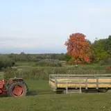 Kristy's Barn photo