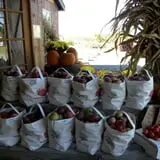 Kristy's Barn photo
