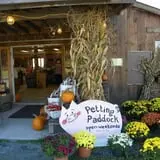 Kristy's Barn photo
