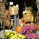 Kristy's Barn photo