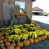 Kristy's Barn photo