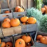 Kristy's Barn photo