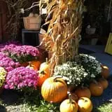 Kristy's Barn photo