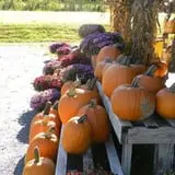 Kristy's Barn photo