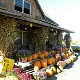 Kristy's Barn photo