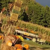 McWilliams Pumpkin Patch photo