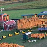 McWilliams Pumpkin Patch photo