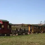 McWilliams Pumpkin Patch photo