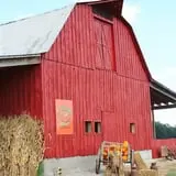 McWilliams Pumpkin Patch photo
