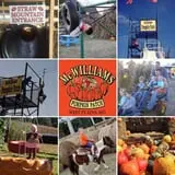 McWilliams Pumpkin Patch photo
