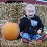 McWilliams Pumpkin Patch photo
