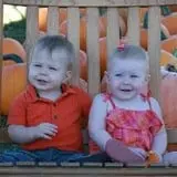 McWilliams Pumpkin Patch photo