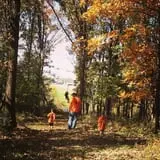 McWilliams Pumpkin Patch photo