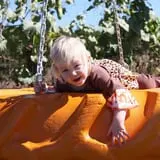 McWilliams Pumpkin Patch photo