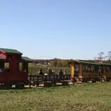 McWilliams Pumpkin Patch photo
