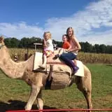 McWilliams Pumpkin Patch photo
