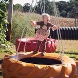 McWilliams Pumpkin Patch photo