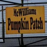 McWilliams Pumpkin Patch photo