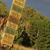 McWilliams Pumpkin Patch photo