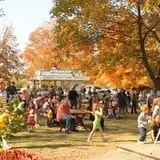 Deer Lake Orchard photo