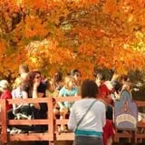 Deer Lake Orchard photo