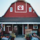 Deer Lake Orchard photo