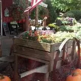 Deer Lake Orchard photo