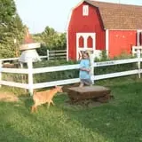 Deer Lake Orchard photo