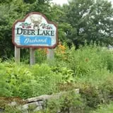Deer Lake Orchard photo