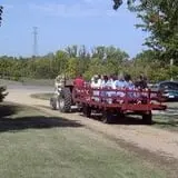 Deer Lake Orchard photo