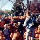 Deer Lake Orchard photo