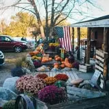 Deer Lake Orchard photo