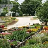 Lull Farm photo
