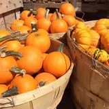 Lull Farm photo