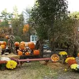 Lull Farm photo