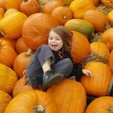 Lull Farm photo