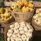 Lull Farm photo