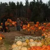 Lull Farm photo