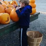 Lull Farm photo