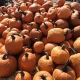Lull Farm photo