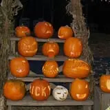 Lull Farm photo