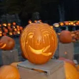 Lull Farm photo