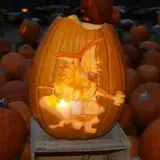 Lull Farm photo