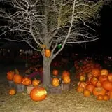 Lull Farm photo